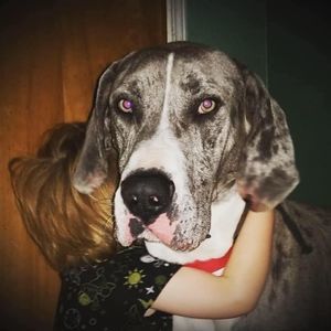 Meet your Posher, Devon